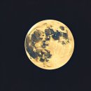 여헌로-11 이미지