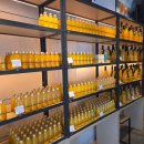 텐(본점) | [일본 마쓰야마 기념품] 귤 전문 기념품샵 '텐팩토리 마쓰야마 본점' 영업시간 위치 종류 가격 이용 후기