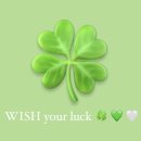 WISH your luck 🍀 #33 이미지