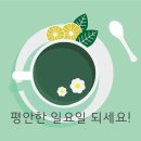 빛고을종로약국 이미지