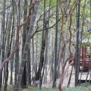 1547 | 전라도정자詩로 만난 인물(1000)-임규호(林圭鎬)-2