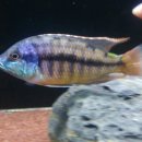 임프레스 이미지