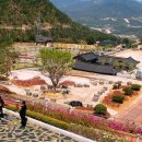 산청전통한방휴양관광지 이미지