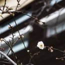 금호동주민센터 이미지