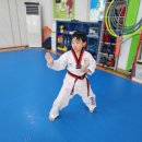 용인대성서태권도 이미지