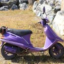 박지마을호텔, 식당 이미지