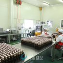 지리산처럼영농조합법인 이미지