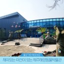 제주해양동물박물관 | 아이와 함께 탐구하는 제주해양동물박물관 방문후기