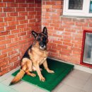 사동우리약국 이미지