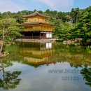 비즈트랜스 외국어번역 행정사사무소 이미지