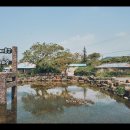 14-1코스 이미지