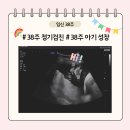 참여성병원 | 「임신일기」 임신 38주 마산 참여성 병원 정기 검진, 태동검사, 38주 아기 성장