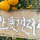 산물농원 네이버블로그