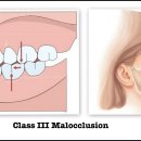 현치과교정과치과의원 이미지