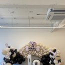 논산애견 이미지