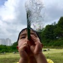 수정자연유치원 이미지