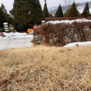 구남매목장 이미지