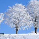 건강 지킴이 수지침 이미지