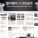 별스크린골프연습장