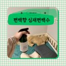 양촌읍 석모로 5번길 | 천연 탈취제 편백향 피톤치드스프레이로 집안냄새제거 후기