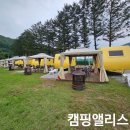 캠핑 앨리스 | 짧은 여름휴가를 카라반에서 보내기 위해 경기도 양평 &#39;캠핑앨리스&#39; 다녀온 후기