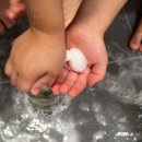 아들셋 맘이 고른 올인원워시 엘리베어 후기, 약산성 아기워시 무자극 인증