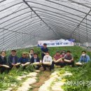 청림동-14 이미지