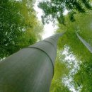 뉴알프스 관광 모텔 이미지