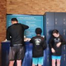 피자베이 수영점 | 인스파이어 스플래시베이, 아이랑 오후에 방문한 후기