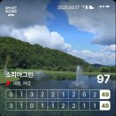 소피아그린 이미지