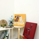 꾸밈펫샵 이미지