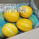 나연농장 이미지