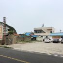 장기반점 이미지