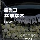로만플라워카페 | 광주 트렁크 프로포즈 실제 후기 수완지구 꽃집 도이브 화이트톤 세팅 추천드려요.