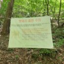 세심정 | 보은 속리산 세조길 맛집 세심정 감자전 먹고 온 후기