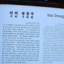 금호천 이미지