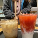 각시돈곰탕