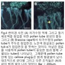 [원예자원학 및 실습] Introduction번역 122145 강무찬 Molecular genetics, physiology and biology of self-incompatibility in Brassicaceae 이미지