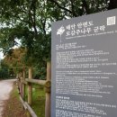 완도 대문리 모감주나무군락 이미지