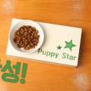 반려식탁 이미지