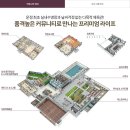 제일퍼스트어린이집 네이버블로그
