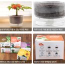 마이 자연애