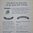 기후위기 탄소중립교육_양말목 안마봉 만들기 | 계양구 자원봉사와 함께한 우유팩 수거 양말목 업사이클링까지!