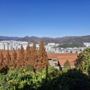 한국폴리텍대학동부산캠퍼스 | 🍂 한국폴리텍대학 동부산캠퍼스 뒤편 곰내재 소풍길 산책기