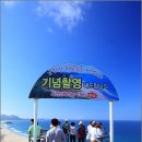 통일전망대 Daum카페
