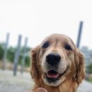 개러리아 송파점 이미지