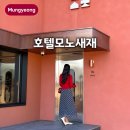 LG 문경서비스 | 경북 문경호텔 신상 가성비 숙소 모노새재