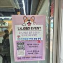 나나네 애견샵 이미지
