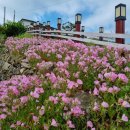 청산도 안단테 이미지