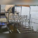 관리낚시터 | [천안낚시터] 충청도 마정지낚시터 반려견동반 좌대 옐로우테라스 후기 절망편